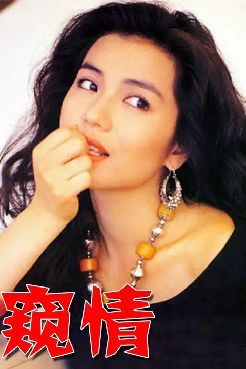 《窥情》封面