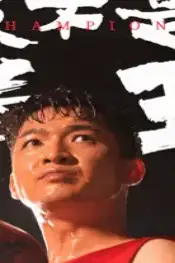 《我不是拳王》封面