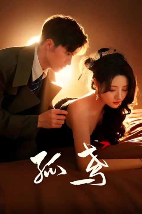 《孤鸢》封面