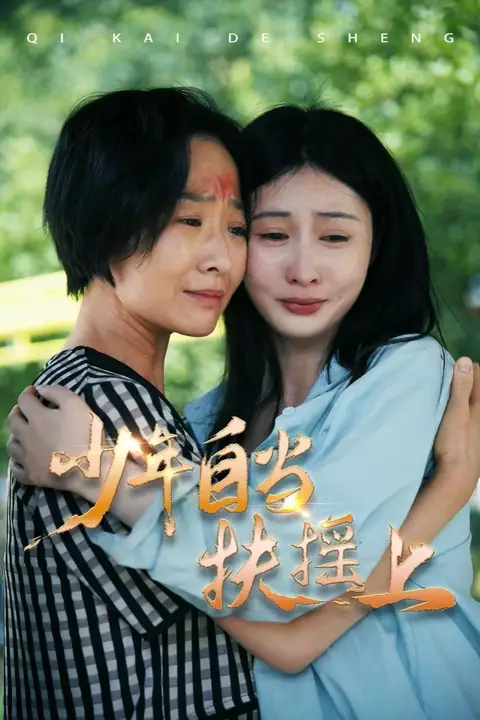 《少年自当扶摇上》封面