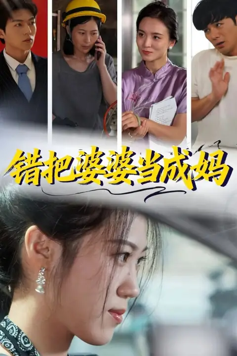 《错把婆婆当成妈》封面