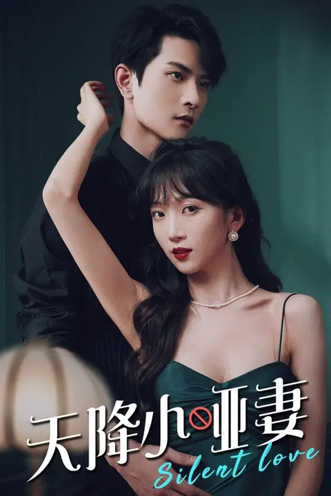 《天降小哑妻》封面