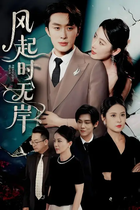 《风起时无岸》封面