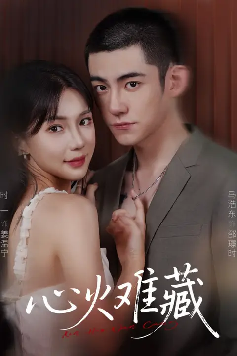 《心火难藏》封面