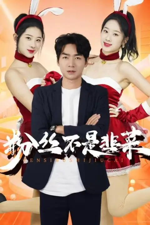 《粉丝不是韭菜(一战成名)》封面