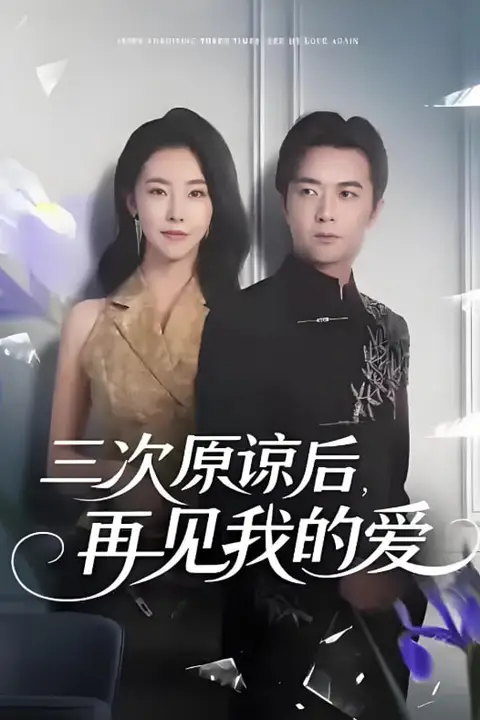 《三次原谅后再见我的爱》封面