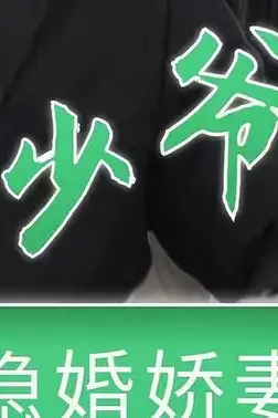 《萧少爷的隐婚娇妻》封面