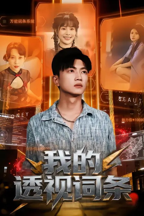 《我的透视词条》封面