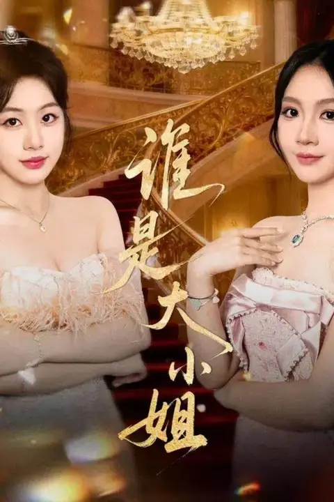 《谁是大小姐》封面