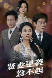 《贤妻逆袭惹不起》封面