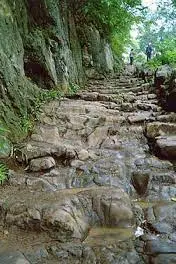 《探秘秦朝五尺道》封面