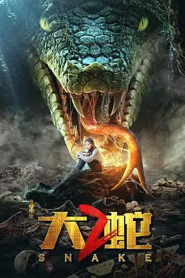 《大蛇2》封面