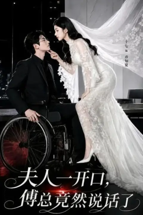 《夫人一开口，傅总竟然说话了》封面