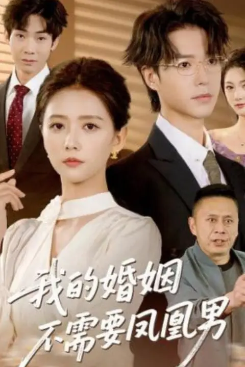 《我的婚姻不需要凤凰男》封面