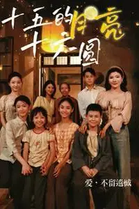 《十五的月亮十六圆》封面