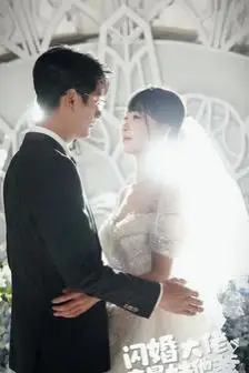 《闪婚大佬竟是娃他爹》封面