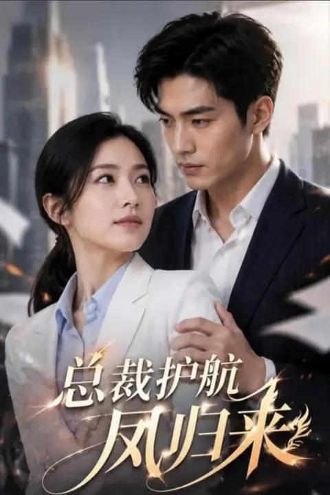 《总裁护航凤归来》封面