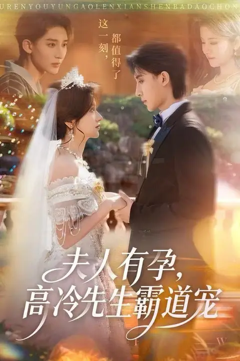 《夫人有孕，高冷先生霸道宠》封面