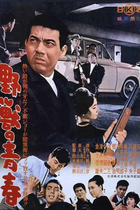 《野兽的青春》封面