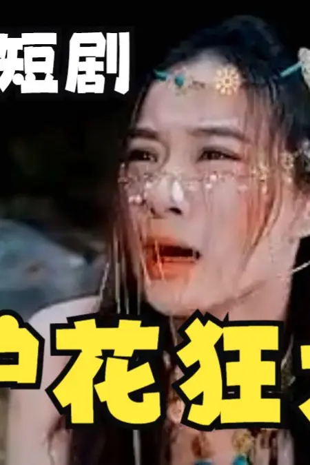 《护花狂龙》封面