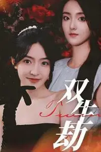 《双生劫》封面