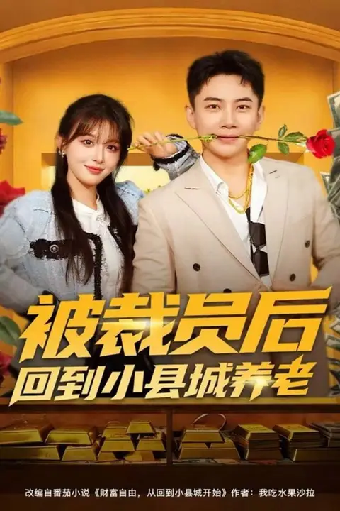 《被裁员后回到小县城养老》封面
