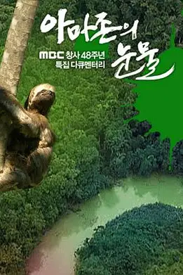 《亚马逊的眼泪》封面