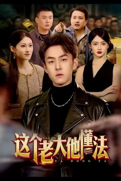 《这个老大他懂法》封面