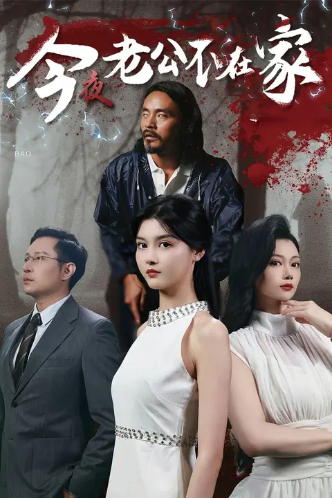 《今夜老公不在家》封面