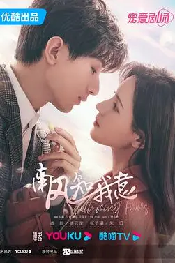 《南风知我意》封面