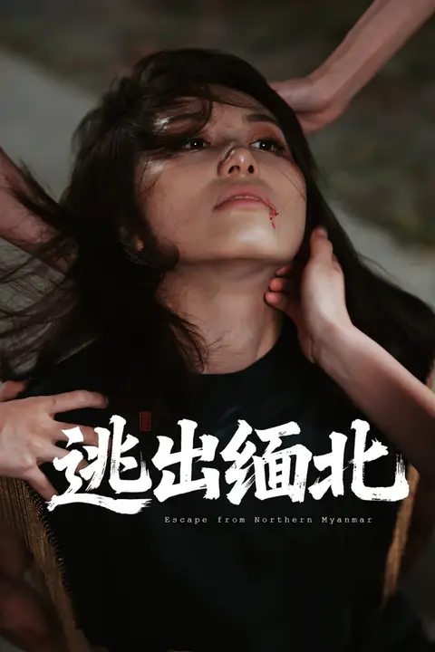 《逃出缅北》封面