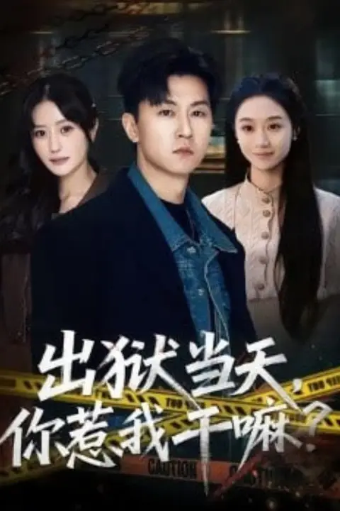 《出狱当天,你惹我干嘛?(出狱当天你惹我干嘛)》封面