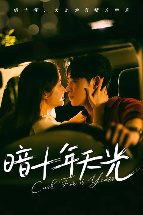《暗十年天光》封面