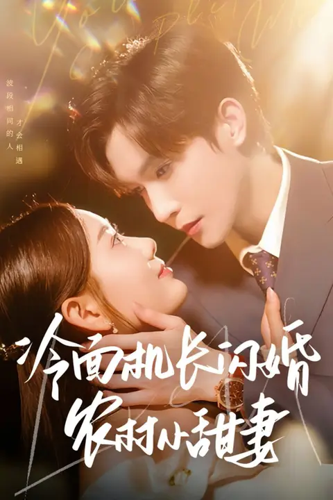 《冷面机长闪婚农村小甜妻》封面