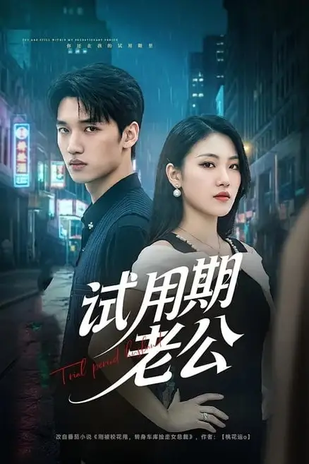 《试用期老公》封面