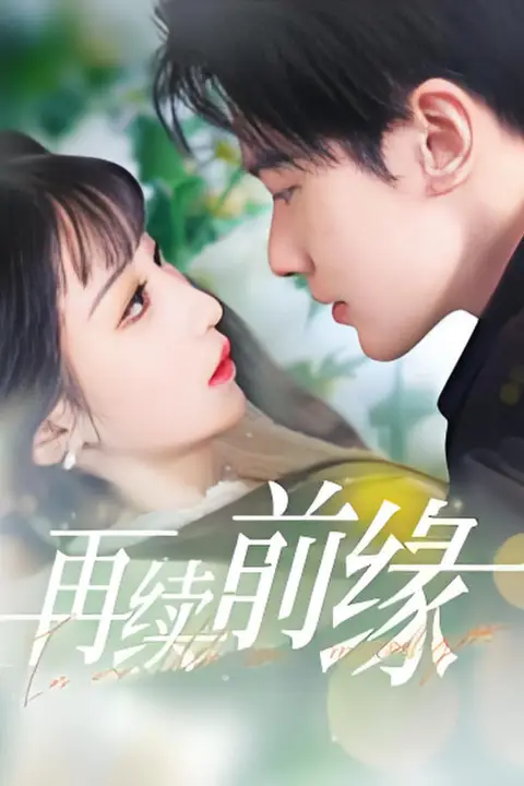 《再续前缘》封面