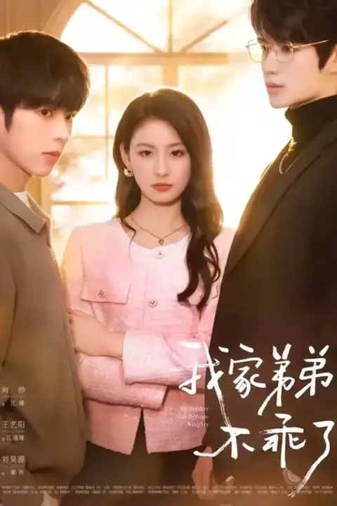 《我家弟弟不乖了》封面