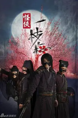 《怪侠一枝梅》封面