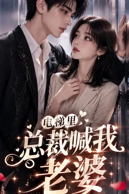 《电梯里，总裁喊我老婆》封面