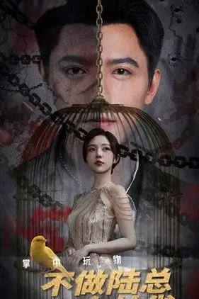 《掌中玩物不做陆总金丝雀》封面