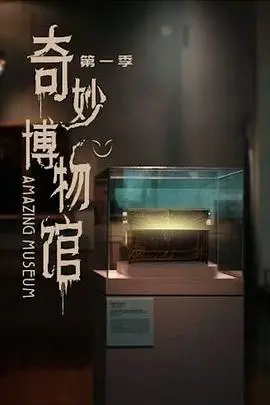 《奇妙博物馆》封面