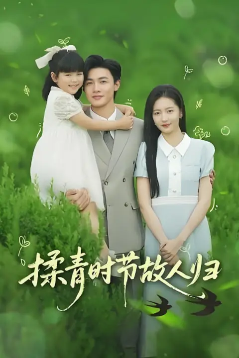 《揉青时节故人归》封面