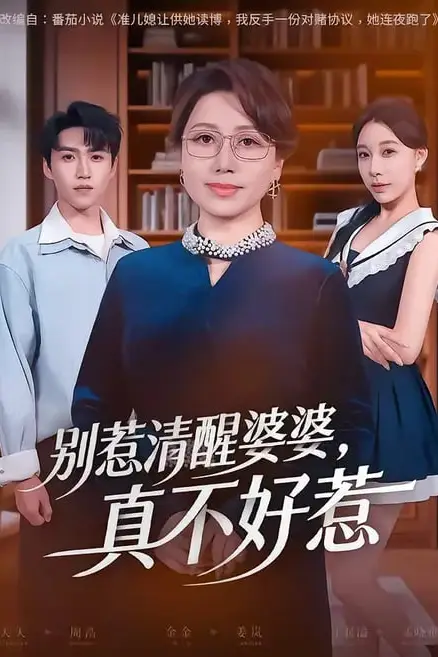 《别惹清醒婆婆，真不好惹》封面
