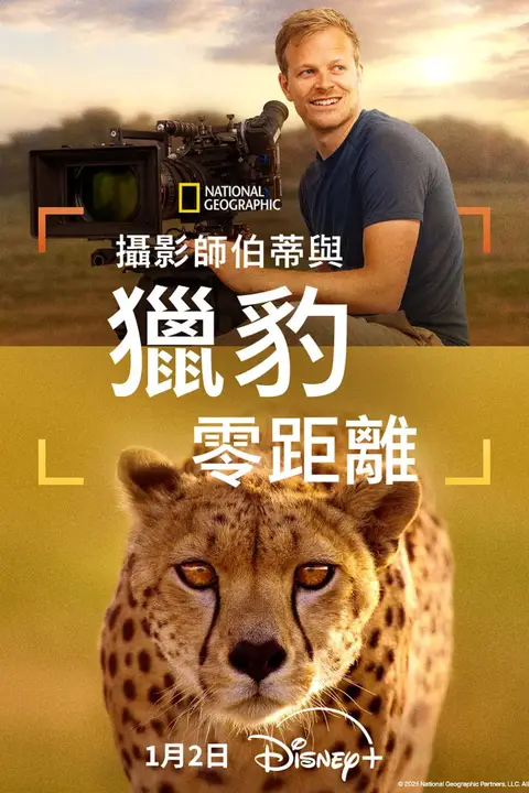 《摄影师贝尔蒂与猎豹零距离》封面