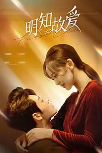 《明知故爱》封面