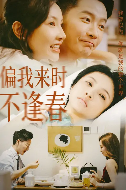 《偏我来时不逢春》封面