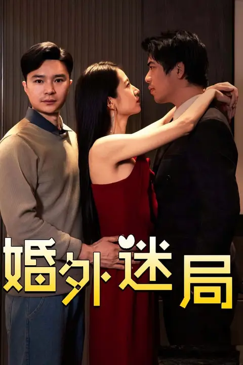 《婚外迷局》封面