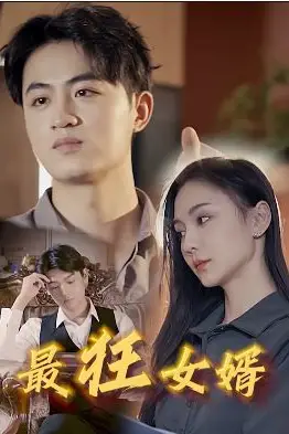 《最狂女婿》封面