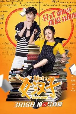 《女汉子真爱公式》封面
