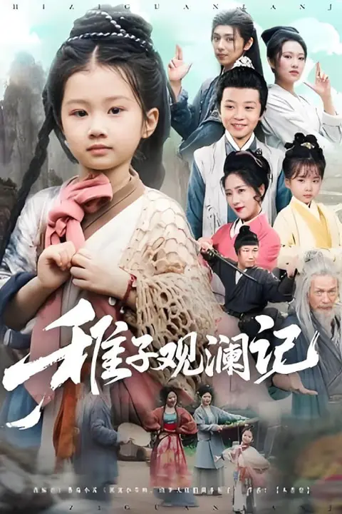 《稚子观澜记》封面